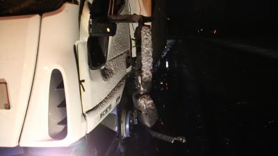 Ertingen: LKW von Baum getroffen - Fahrer nicht verletzt